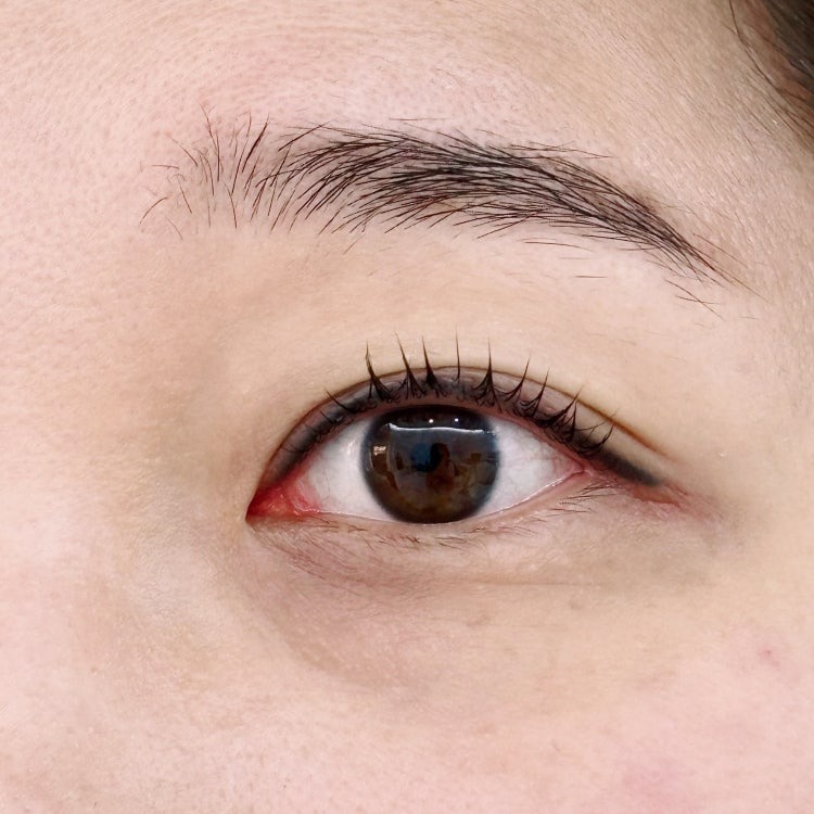 Bebelle Beauty Lash Perm