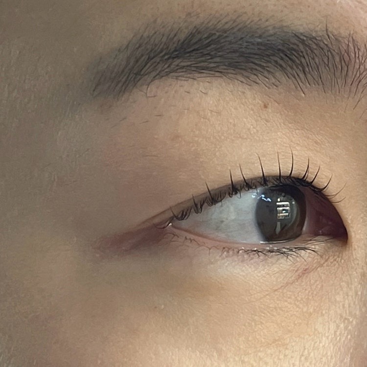 Bebelle Beauty Lash Profile