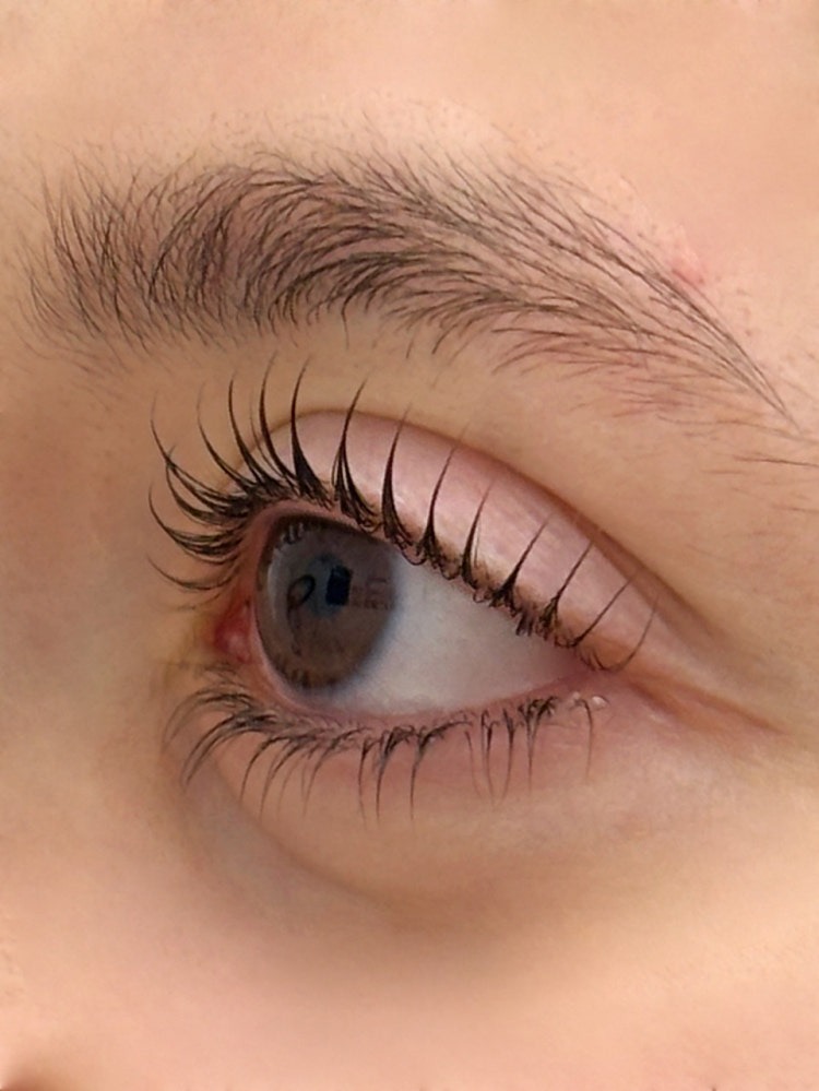 Bebelle Beauty Volume Lash